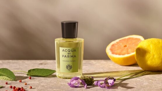 Best Acqua Di Parma Perfumes 2024